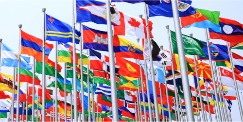 Global Diplomatic Organisation